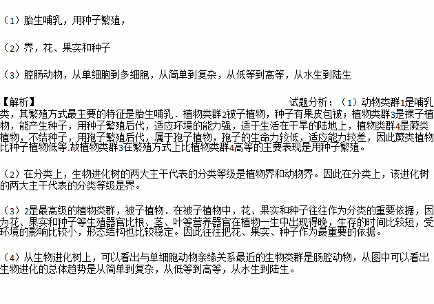 如圖為表示生物進化大致歷程的進化樹.請據圖回答下面的問題.