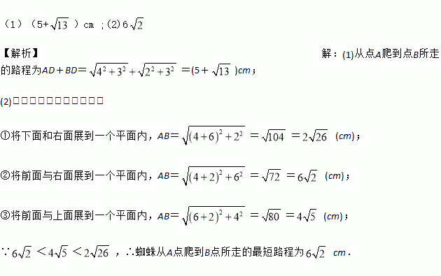 苍蝇曲谱_苍蝇卡通图片(3)