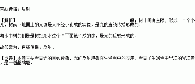 丽丽在湖边树荫下乘凉发现地面上有很多圆形光斑