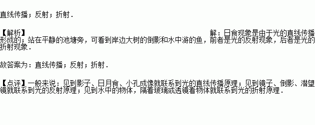 可看到岸邊大樹的倒影和水中游的魚.前者是光的 現象.