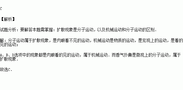 舞飞扬含笑曲谱_深山含笑