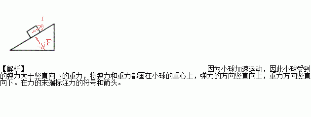 将小球放在压缩后的弹簧上松手后小球向上做加速运动请画出小球受到的