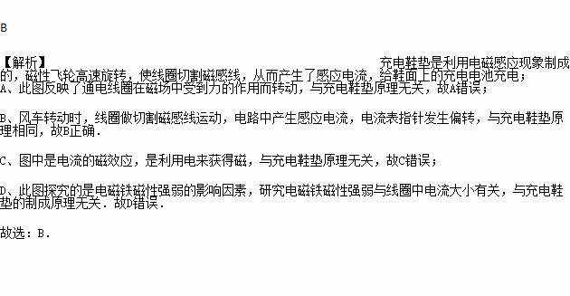 充电鞋垫什么原理_充电加热鞋垫