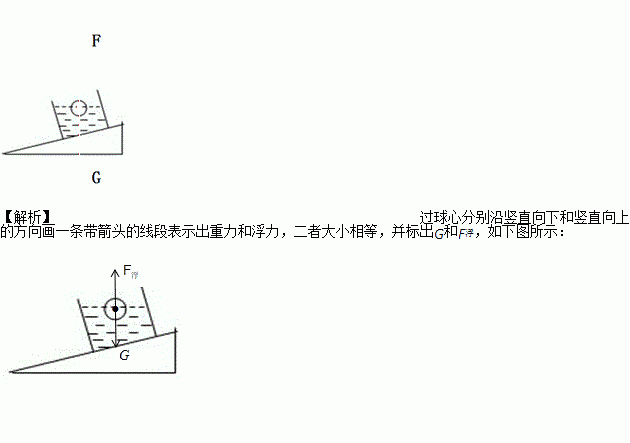 如图一乒乓球漂浮在水面上,用力的示意图表示它所受力的情况