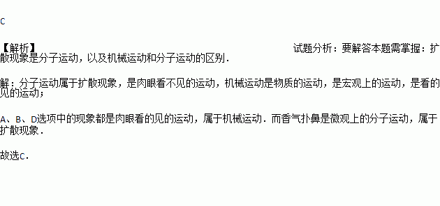 舞飞扬含笑曲谱_深山含笑