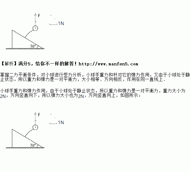 请用力的图示画出弹性杆对小球的弹