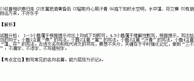 花落无香曲谱_无羁曲谱(3)