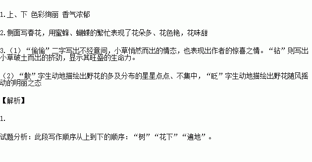 抓迷藏简谱_抓迷藏简笔画(3)