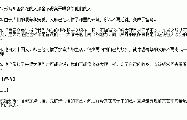 大雁往南飞简谱_大雁往南飞简谱孙俪(2)