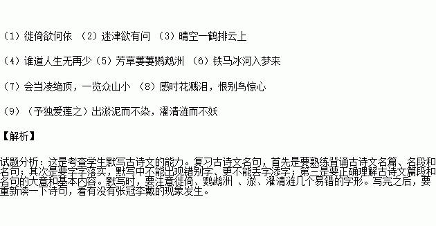 成语孤什么句_什么斟句酌的成语(2)