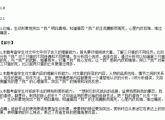 关于鸟的成语什么为什么亡_成语故事简笔画(2)