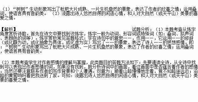 杨基简谱_杨基队标志(2)