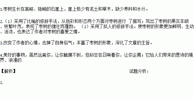 的枣树简谱_枣树简笔画