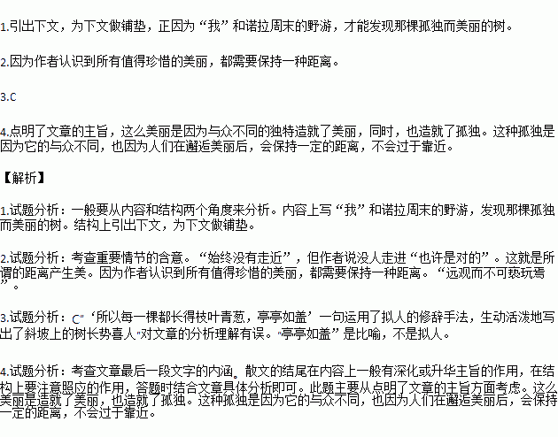 二十岁的某一天简谱_二十岁的某一天吉他谱(2)