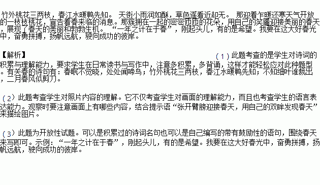 春天向我们走来简谱_春天走来的中国简谱(3)