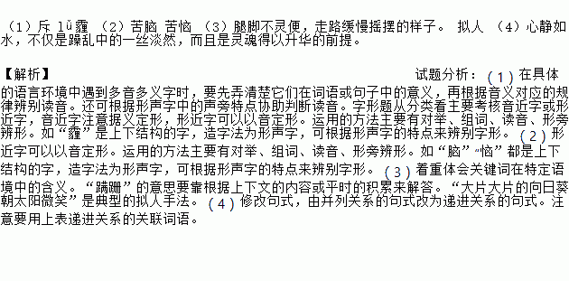 心静如水简谱_心静如水图片