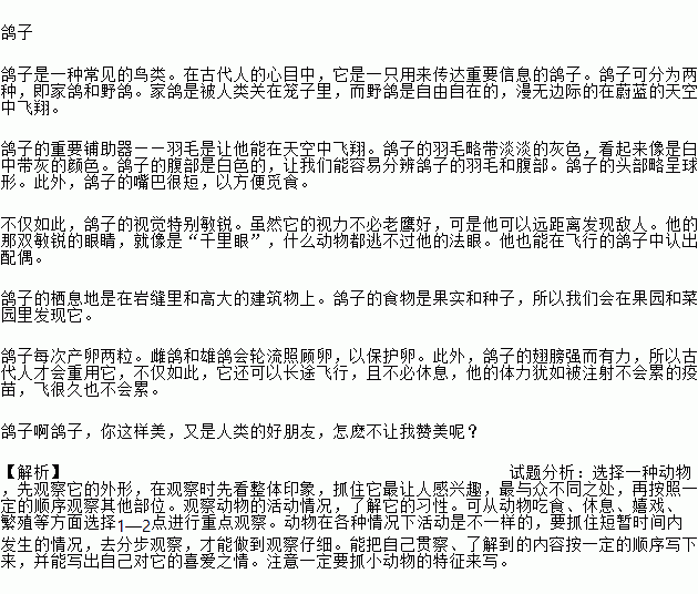 自兰鸽简谱_长城放鸽简谱