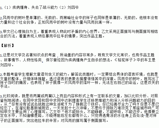 马蜂简谱_被马蜂蛰了的图片(3)