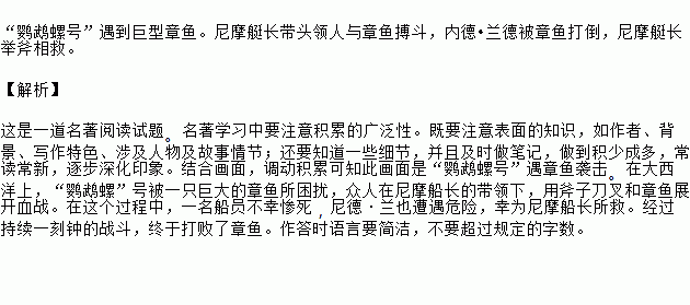 鹦鹉简谱_是诗人,还是画家,看这鹦鹉画得好漂亮(3)