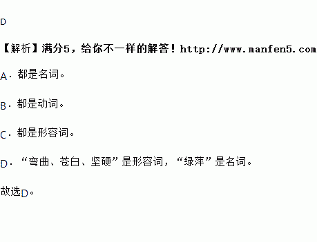 下列詞語詞性不同的一項是