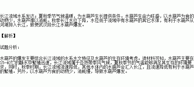 满江曲谱_满江老婆郭月(5)