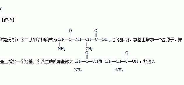 二肽的结构式图片