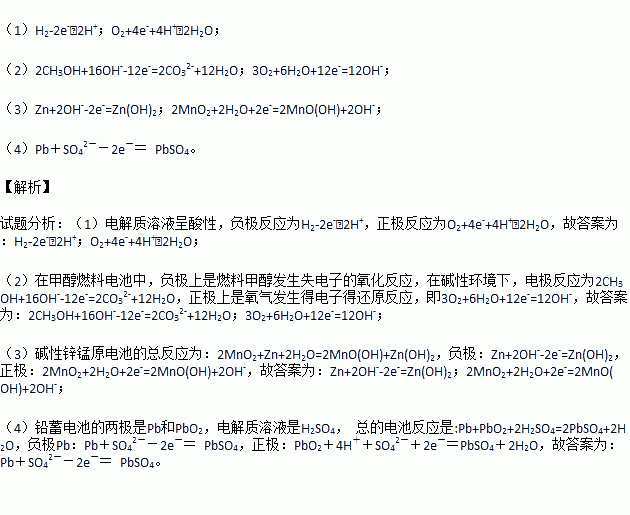 锂锰电池电极方程式图片