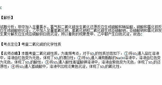 盛有氯化钡稀溶液的甲乙两试管分别通入so2至饱和.