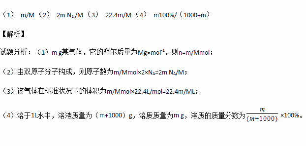 双罗伞曲谱_红伞伞白杆杆图片(2)