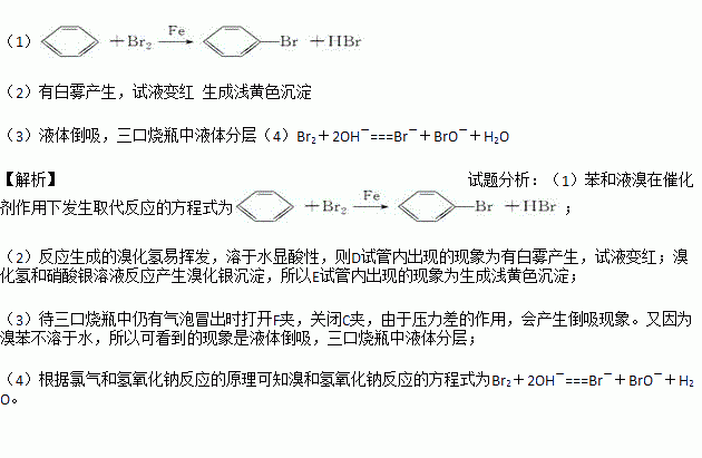 实验室制溴苯可用如图装置回答下列问题