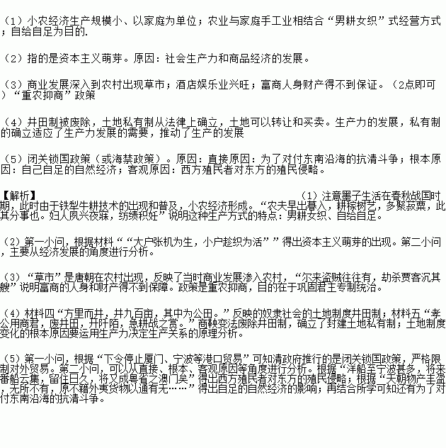 什么詟粟成语_粟是什么农作物图片(3)