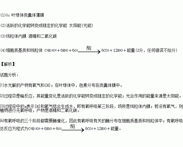 下圖是某植物葉肉細胞中光合作用和細胞呼吸的物質變化示意簡圖其中ab