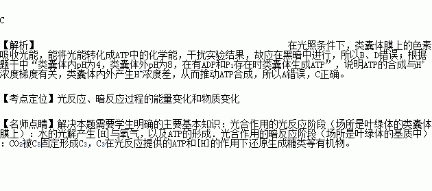 科学家研究了什么的原理_科学家卡通图片