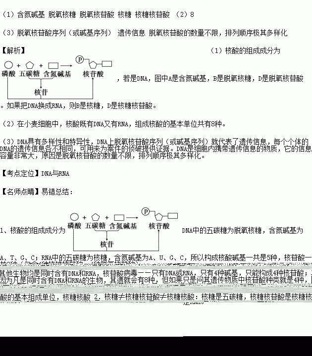 工作细胞简谱_工作细胞(2)