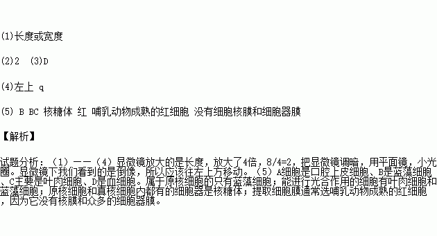 生物学实验中常用普通光学显微镜