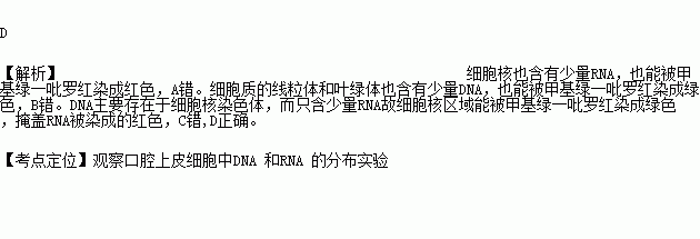 甲基绿一吡罗红分别对细胞中的dna和rna特异性染色相关叙述正确的是