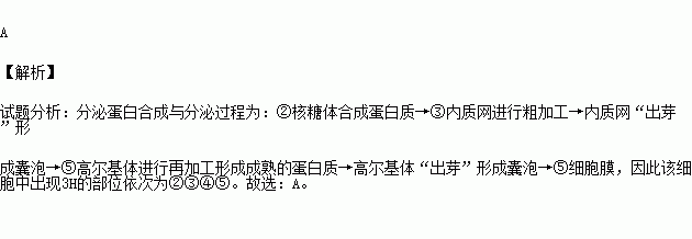 某細胞過程中蛋白質的合成和分泌示意圖則該細胞中出現3h的部位依次為