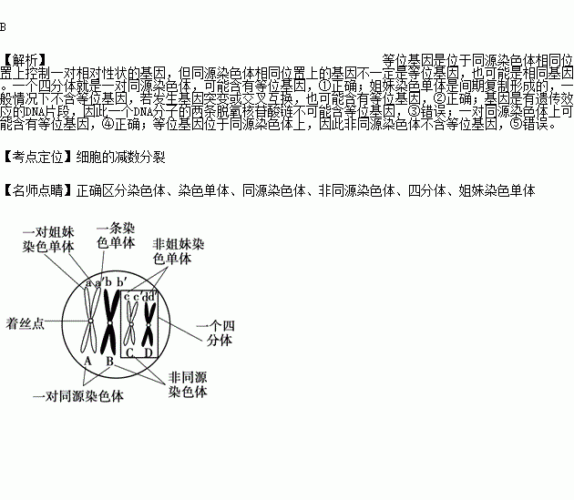 没有共产就没有新中国歌曲谱葫芦丝教学(3)