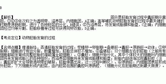 此圖是囊胚期示意圖,①②③依次稱之