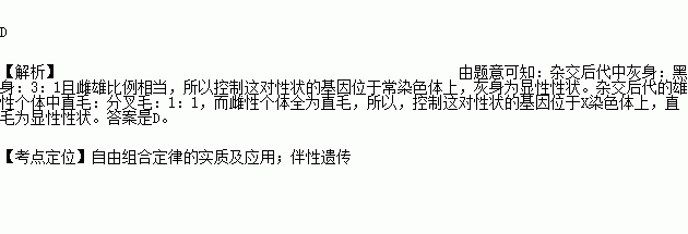 果蝇相对性状图片