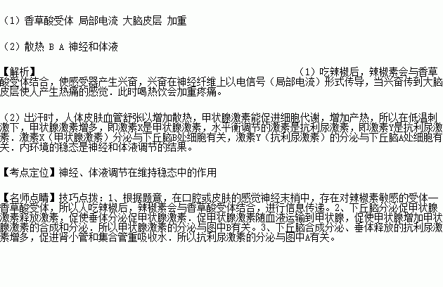 热辣辣简谱_小星星简谱