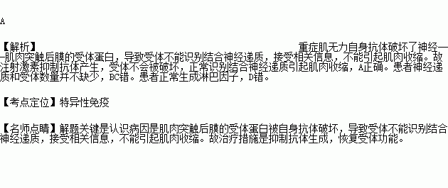 重症肌無力是一種自身免疫性疾病患者體內的自身抗體破壞了神經肌肉