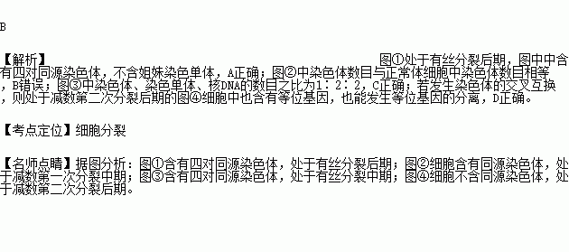 不含姐妹染色單體b.圖②中染色體數目等於正