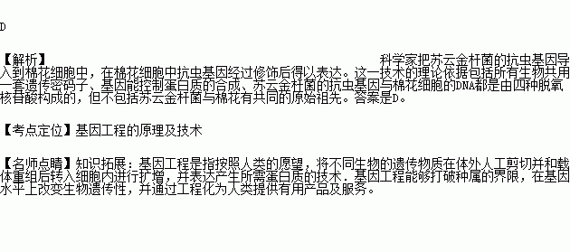 苏云曲谱_苏云(3)