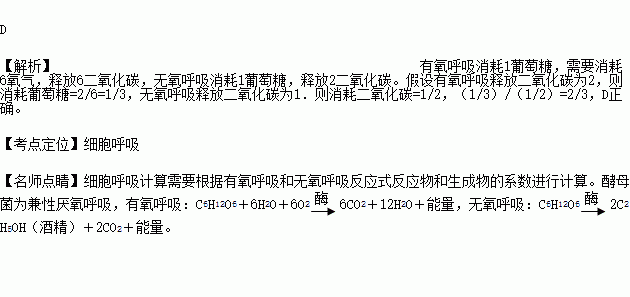 在无氧条件下能进行厌氧呼吸产生酒精如果在有氧呼吸和无氧呼吸中