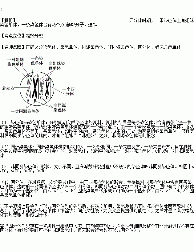 四分体时期中的1条染色体含有a.4个双链的dna分子 b.