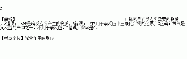 下列物質中暗反應階段所必需的是