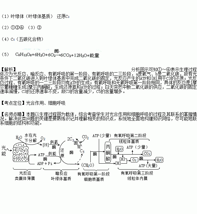 下圖是植物葉肉細胞中光合作用和呼吸作用的物質變化示意簡圖其中ab