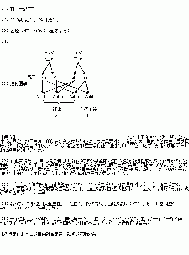 简谱白脸_儿歌简谱(2)