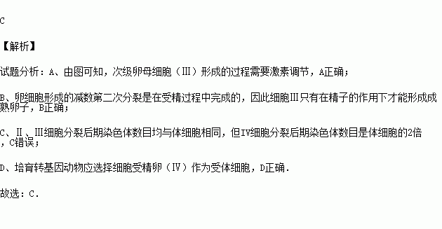 细胞减数分裂形成成熟卵子的过程只有在促性腺激素和精子的诱导下才能